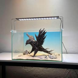 Limited I Aquascape Đại Bàng Chế Tác Thủ Công Từ Gỗ Lũa Tự Nhiên Trang Trí Bể Cá | RF Aquarium 4