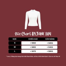 [MÀU MỚI] Áo Thun Nữ Dài Tay Cổ Lọ 3 Phân Co Giãn 4 Chiều Mềm Mịn Ôm Body BYJANE – 804 3