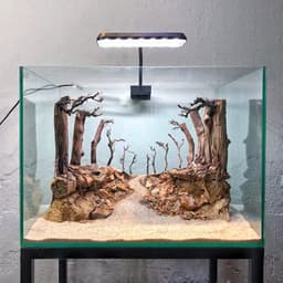 Layout Rừng Ver.1 | Nghệ Thuật Tái Tạo Cảnh Quan Tự Nhiên | Điểm Nhấn Cho Bể Cá | RF Aquarium 6