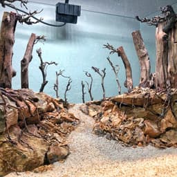 Layout Rừng Ver.1 | Nghệ Thuật Tái Tạo Cảnh Quan Tự Nhiên | Điểm Nhấn Cho Bể Cá | RF Aquarium 4