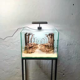 Layout Rừng Ver.1 | Nghệ Thuật Tái Tạo Cảnh Quan Tự Nhiên | Điểm Nhấn Cho Bể Cá | RF Aquarium 3