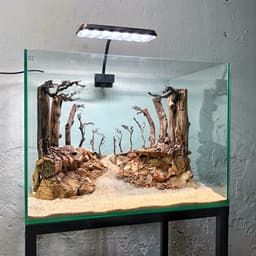Layout Rừng Ver.1 | Nghệ Thuật Tái Tạo Cảnh Quan Tự Nhiên | Điểm Nhấn Cho Bể Cá | RF Aquarium 5