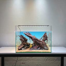 Layout Thuỷ Sinh Hẻm Núi Ver.7 | Nghệ Thuật Tái Tạo Lại Cảnh Quan Từ Gỗ Đá Tự Nhiên | RF Aquarium 3