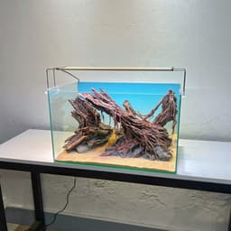 Layout Thuỷ Sinh Hẻm Núi Ver.7 | Nghệ Thuật Tái Tạo Lại Cảnh Quan Từ Gỗ Đá Tự Nhiên | RF Aquarium 2
