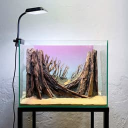 Layout Thuỷ Sinh Rừng Ver.12 | Chế Tác Thủ Công Từ Gỗ Lũa Tự Nhiên | Cho Bể Cá Nhỏ 20-40cm | RF Aquarium 4