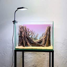 Layout Thuỷ Sinh Rừng Ver.12 | Chế Tác Thủ Công Từ Gỗ Lũa Tự Nhiên | Cho Bể Cá Nhỏ 20-40cm | RF Aquarium 2