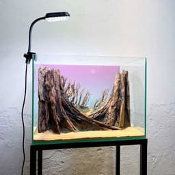 Layout Thuỷ Sinh Rừng Ver.12 | Chế Tác Thủ Công Từ Gỗ Lũa Tự Nhiên | Cho Bể Cá Nhỏ 20-40cm | RF Aquarium 3