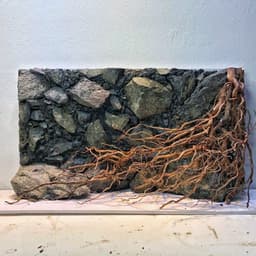 Layout Vách Suối Ver.3 | Nền Đá Nham Xanh Phù Hợp Chơi Bể Biotop, Blackwater | RF Aquarium 6
