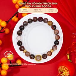 Ngọc Đan Tâm - Vòng Tay Gỗ Hóa Thạch 8mm Phối Charm Bọc Đá - Mệnh Hoả & Mệnh Thổ 1