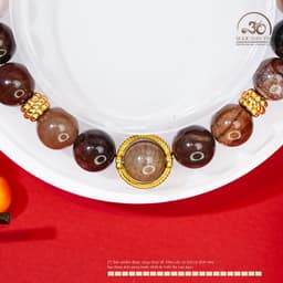 Ngọc Đan Tâm - Vòng Tay Gỗ Hóa Thạch 8mm Phối Charm Bọc Đá - Mệnh Hoả & Mệnh Thổ 3