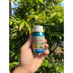 NẤM MAI CHAI 100ML HỖ TRỢ NẤM HỒNG, RỈ SẮT VÀ BỆNH DO NẤM GÂY RA TRÊN MAI 4