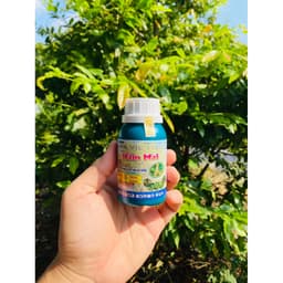 NẤM MAI CHAI 100ML HỖ TRỢ NẤM HỒNG, RỈ SẮT VÀ BỆNH DO NẤM GÂY RA TRÊN MAI 3