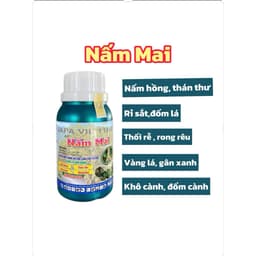 NẤM MAI CHAI 100ML HỖ TRỢ NẤM HỒNG, RỈ SẮT VÀ BỆNH DO NẤM GÂY RA TRÊN MAI 1