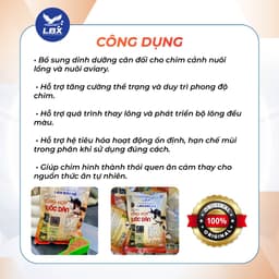 Thức ăn cám Tổng Hợp Quốc Dân 500gr Lâm Bầu Xô – cám chim dinh dưỡng, nuôi nhiều loại chim cảnh, dễ sử dụng 4