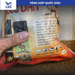 Thức ăn cám Tổng Hợp Quốc Dân 500gr Lâm Bầu Xô – cám chim dinh dưỡng, nuôi nhiều loại chim cảnh, dễ sử dụng 9