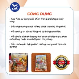 Cám chim cảnh Tinh Hoa Sắc Tố 200gr Lâm Bầu Xô – bổ sung sắc tố, lên màu lông đẹp tự nhiên 4