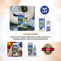 Dung dịch bổ sung năng lượng Năng Lượng Xanh Lâm Bầu Xô – hỗ trợ vitamin, phục hồi thể trạng cho chim sau vận động 3