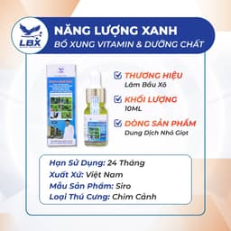 Dung dịch bổ sung năng lượng Năng Lượng Xanh Lâm Bầu Xô – hỗ trợ vitamin, phục hồi thể trạng cho chim sau vận động 2