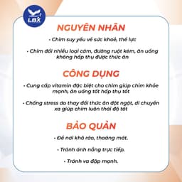 Dung dịch bổ sung năng lượng Năng Lượng Xanh Lâm Bầu Xô – hỗ trợ vitamin, phục hồi thể trạng cho chim sau vận động 4