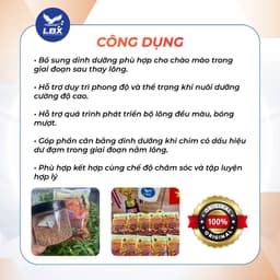 Thức tỉnh ngôi vương 200gr Lâm Bầu Xô – cám chim chào mào thi đấu cao cấp, tăng lửa, lên màu đẹp, dinh dưỡng chuyên sâu 4
