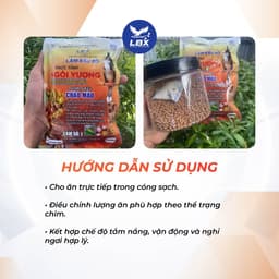 Thức tỉnh ngôi vương 200gr Lâm Bầu Xô – cám chim chào mào thi đấu cao cấp, tăng lửa, lên màu đẹp, dinh dưỡng chuyên sâu 6
