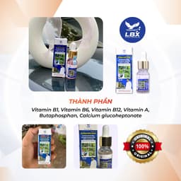 Dung dịch uống Đường Đua Xanh 10ml Lâm Bầu Xô – bổ sung trước và sau thi đấu cho chim cảnh, hỗ trợ phục hồi tăng thể lực 3