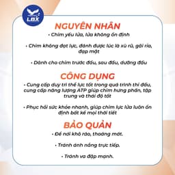 Dung dịch uống Đường Đua Xanh 10ml Lâm Bầu Xô – bổ sung trước và sau thi đấu cho chim cảnh, hỗ trợ phục hồi tăng thể lực 4