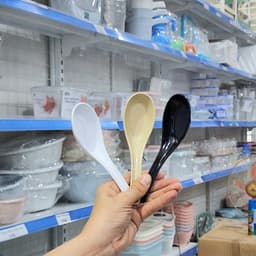 [10 Cái] Muỗng Melamine Cao Cấp Việt Nhật 2856/2860, Thìa Ăn Súp Chè, Muỗng Cafe Muỗng Canh - DOMUS 5