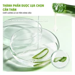 Gel Lô Hội Dưỡng Da Đa Năng Arumore Aloe Vera Làm Dịu Cấp Ẩm Phục Hồi Da Mềm Mịn 300ml 3