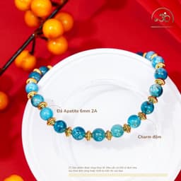 Ngọc Đan Tâm - Vòng Tay Apatite 6mm 2A Phối Charm Lồng Đèn - Mệnh Thuỷ & Mệnh Mộc 2