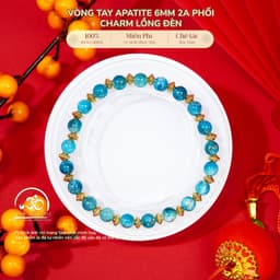 Ngọc Đan Tâm - Vòng Tay Apatite 6mm 2A Phối Charm Lồng Đèn - Mệnh Thuỷ & Mệnh Mộc 1