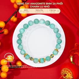 Ngọc Đan Tâm - Vòng Tay Amazonite 8mm 2A Phối Charm Lu Nhỏ - Mệnh Thuỷ & Mệnh Mộc 1