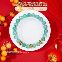 Ngọc Đan Tâm - Vòng Tay Amazonite 8mm 2A Phối Charm Tròn Đính Đá Xanh - Mệnh Thuỷ & Mệnh Mộc 1
