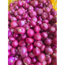 5Kg Tặng 1Kg cùng loại, Hành Tím Ấn Độ khô vỏ, Củ To Đẹp 1
