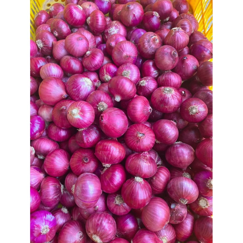 5Kg Tặng 1Kg cùng loại, Hành Tím Ấn Độ khô vỏ, Củ To Đẹp