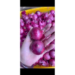 5Kg Tặng 1Kg cùng loại, Hành Tím Ấn Độ khô vỏ, Củ To Đẹp 2