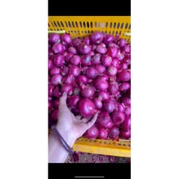 5Kg Tặng 1Kg cùng loại, Hành Tím Ấn Độ khô vỏ, Củ To Đẹp 5