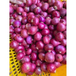 5Kg Tặng 1Kg cùng loại, Hành Tím Ấn Độ khô vỏ, Củ To Đẹp 3