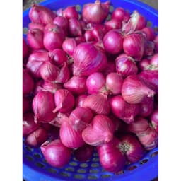Hành Tím Vĩnh Châu Đặc Sản Sóc Trăng , Hành Khô Củ To Đẹp, mua 5Kg hành tím Vĩnh Châu tặng 1Kg Hành Ấn Tím 1