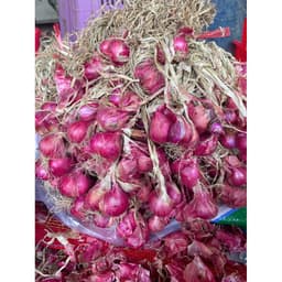 Hành Tím Vĩnh Châu Đặc Sản Sóc Trăng , Hành Khô Củ To Đẹp, mua 5Kg hành tím Vĩnh Châu tặng 1Kg Hành Ấn Tím 4
