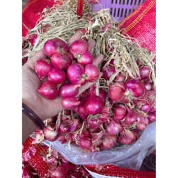 Hành Tím Vĩnh Châu Đặc Sản Sóc Trăng , Hành Khô Củ To Đẹp, mua 5Kg hành tím Vĩnh Châu tặng 1Kg Hành Ấn Tím 2