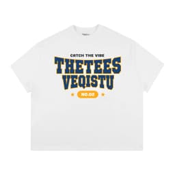 Áo Thun BOXY Local Brand VEQISTU "Thetees", Áo Thun Boxy Form Rộng Unisex Nam Nữ 250Gsm 2