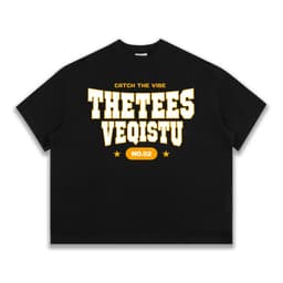 Áo Thun BOXY Local Brand VEQISTU "Thetees", Áo Thun Boxy Form Rộng Unisex Nam Nữ 250Gsm 3