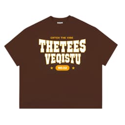 Áo Thun BOXY Local Brand VEQISTU "Thetees", Áo Thun Boxy Form Rộng Unisex Nam Nữ 250Gsm 4