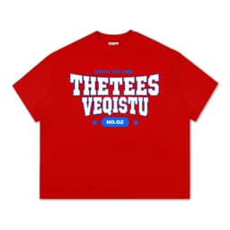 Áo Thun BOXY Local Brand VEQISTU "Thetees", Áo Thun Boxy Form Rộng Unisex Nam Nữ 250Gsm 5
