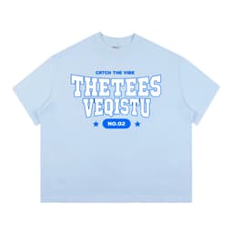 Áo Thun BOXY Local Brand VEQISTU "Thetees", Áo Thun Boxy Form Rộng Unisex Nam Nữ 250Gsm 6