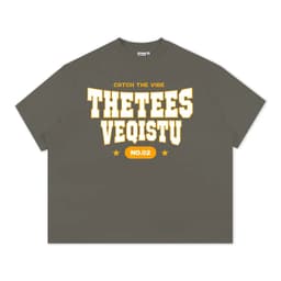 Áo Thun BOXY Local Brand VEQISTU "Thetees", Áo Thun Boxy Form Rộng Unisex Nam Nữ 250Gsm 7