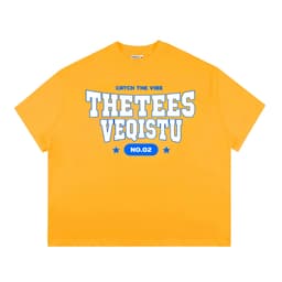 Áo Thun BOXY Local Brand VEQISTU "Thetees", Áo Thun Boxy Form Rộng Unisex Nam Nữ 250Gsm 8