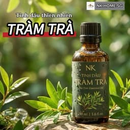 Tinh Dầu Tràm Trà Nguyên Chất NK – Xông Phòng, Khuếch Tán, Làm Thơm Không Gian 10ml,30ml,50ml,100ml 1