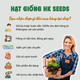 Hạt Giống Đậu Cove Tứ Quý F1 Siêu Quả Dẹt, Chịu Nhiệt và Dễ Trồng - Hạt Giống Nhà Nông 6